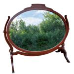 Pridėta į mėgstamų sąrašą