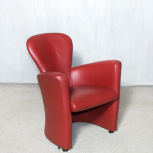 PARDUOTA  Modernus Leolux fotelis