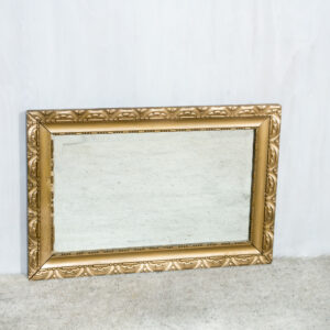 Veidrodis paauksuotu rėmu